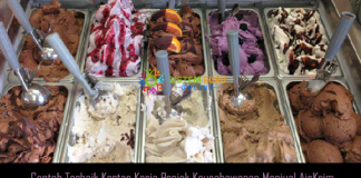 Contoh Terbaik Kertas Kerja Projek Keusahawanan Menjual AisKrim