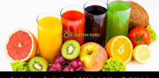 Kertas Kerja Perniagaan Perusahaan Minuman Jus Buah-buahan dan Konfeksioneri (Tart Buah-buahan) lelaki