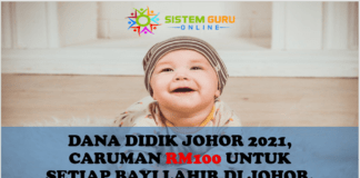 Dana Dididk Johor 2021, Caruman RM100 untuk Setiap Bayi Lahir di Johor.