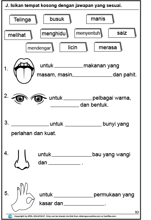 Latihan Sains Tahun 1= Unit Deria Manusia Muka Surat 11&12