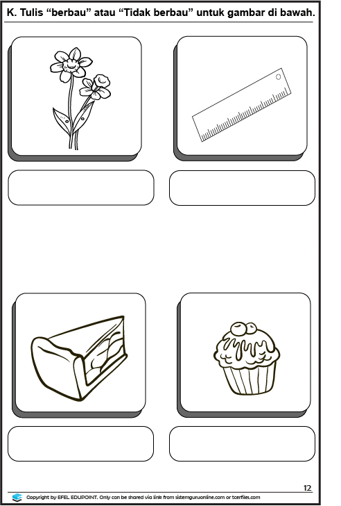 Latihan Sains Tahun 1= Unit Deria Manusia Muka Surat 11&12