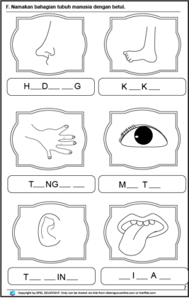 Latihan Sains Tahun 1= Unit Deria Manusia, Muka Surat 7&8