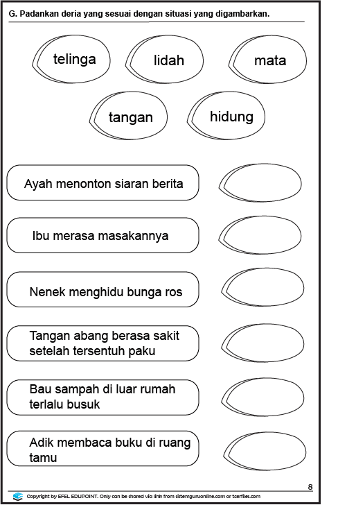 Latihan Sains Tahun 1= Unit Deria Manusia, Muka Surat 7&8