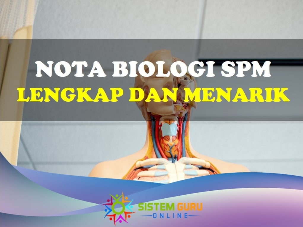 Nota Biologi SPM yang Lengkap dan Kreatif