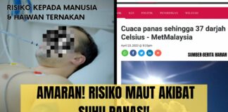 Awas! Risiko Maut Akibat Suhu Panas