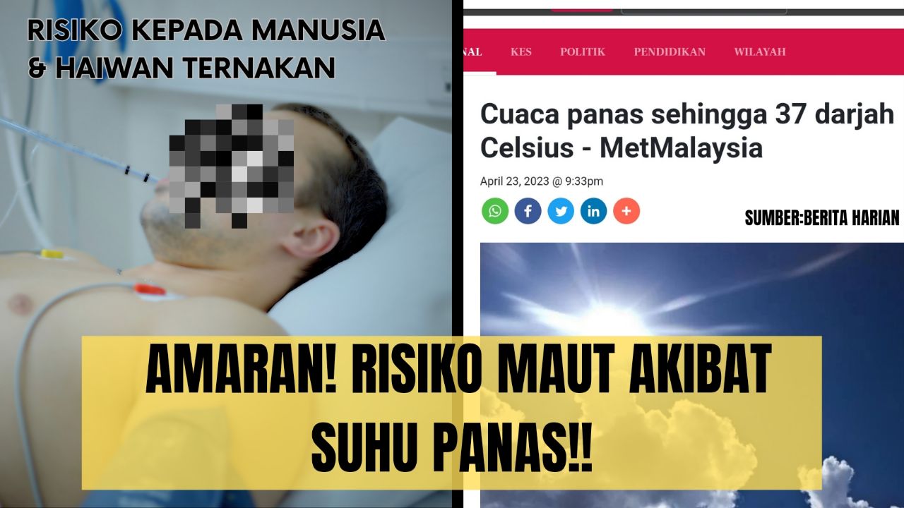 Awas! Risiko Maut Akibat Suhu Panas