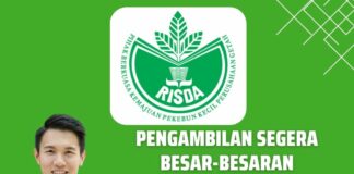 Jawatan Kosong di RISDA Tahun 2023 Kini Dibuka Mohon Sekarang Jawatan Kosong di RISDA