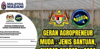 Geran Agropreneur Muda : Jenis Bantuan, Syarat-Syarat & Cara Memohon