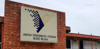 Kerja Kosong di Jabatan Perkhidmatan Veterinar Permohonan Dibuka Sehingga 5 Oktober Jabatan Perkhidmatan Veterinar