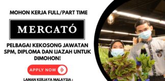 mohon kerja mercato