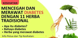 Mencegah dan Merawat Diabetes dengan 11 Herba Tradisional diabetes_cover