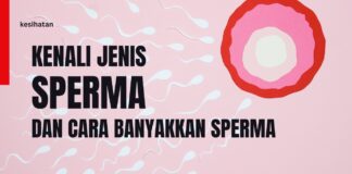Kenali Jenis Sperma Sihat Dan Cara Banyakkan Sperma Lelaki Kenali Jenis Sperma Sihat Dan Cara Banyakkan Sperma Lelaki