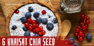 6 Khasiat Chia Seed, Cara Minum Chia Seed untuk Kurus Berserta Pantang Larangnya 6 Khasiat Chia Seed, Cara Minum Chia Seed untuk Kurus Berserta Pantang Larangnya!