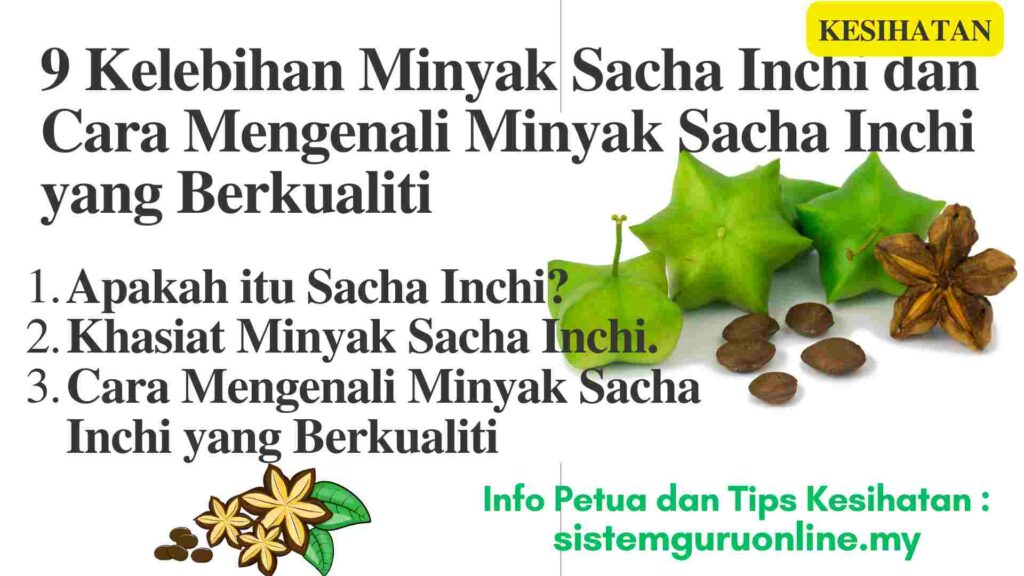 9 Kelebihan Minyak Sacha Inchi dan Cara Mengenali Minyak Sacha Inchi yang Berkualiti 1