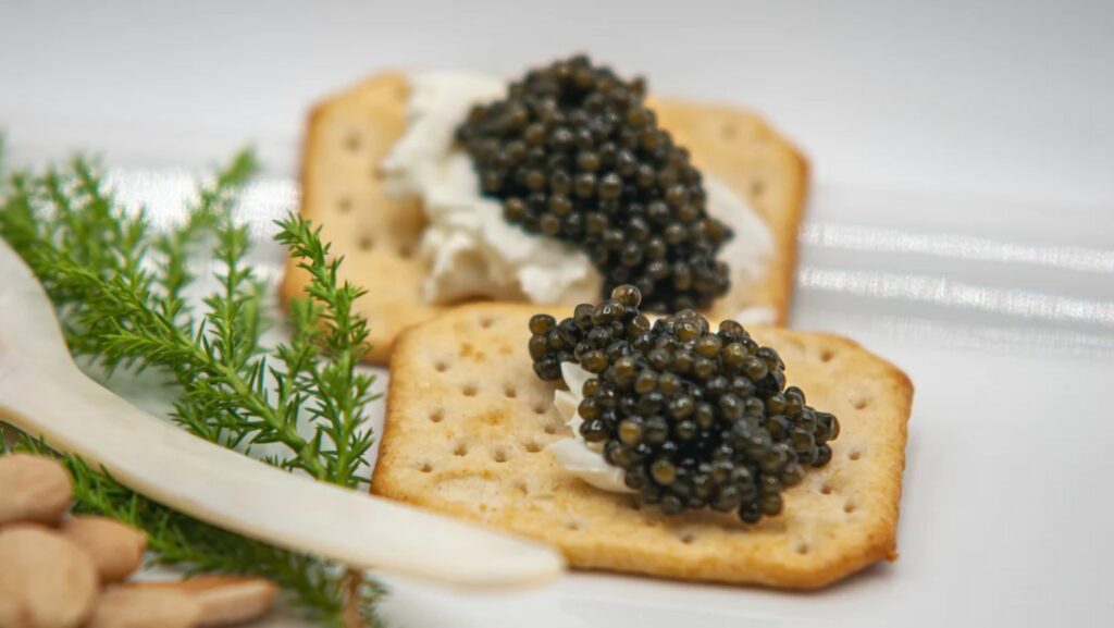 Caviar 4