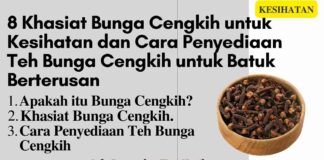 8 Khasiat Bunga Cengkih untuk Kesihatan dan Cara Penyediaan Teh Bunga Cengkih