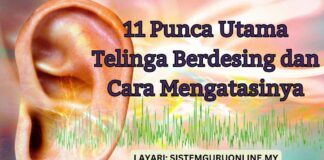 11 Punca Utama Telinga Berdesing dan Cara Mengatasinya