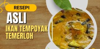 Cara Buat dan Resepi Asli Ikan Patin Masak Tempoyak Temerloh Pahang Guna Beberapa Bahan Di Rumah yang Awesome Resepi Asli Ikan Patin Masak Tempoyak