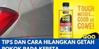 Tips dan 5 Cara Hilangkan Getah Pokok Pada Kereta yang Awesome! Tips dan Cara Hilangkan Getah Pokok Pada Kereta
