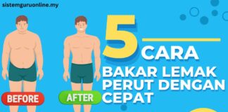 5 Cara Bakar Lemak Perut Dengan Mudah 5 Cara Bakar Lemak Perut Dengan Mudah