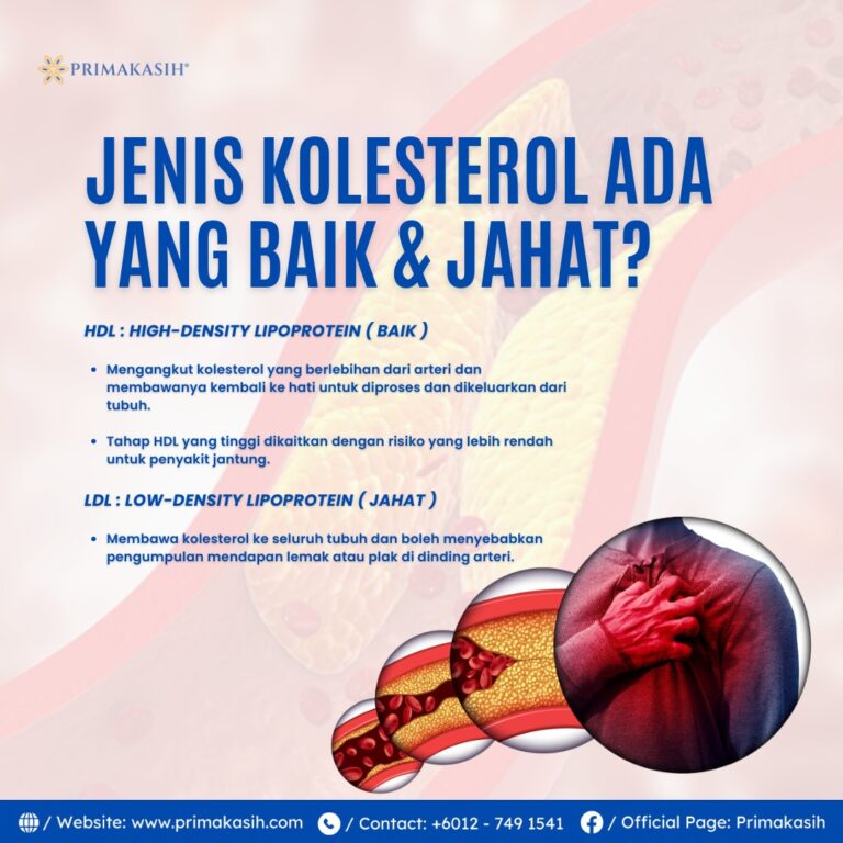 5 Cara Menurunkan Kolesterol Tinggi Dalam Badan