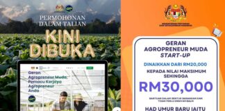 Permohonan Geran Agropreneur Muda 2025 Kini Dibuka! geran agropreneur muda 2025